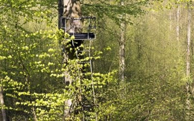 5 Affordable Deer Stands That Won’t Break the Bank This Summer