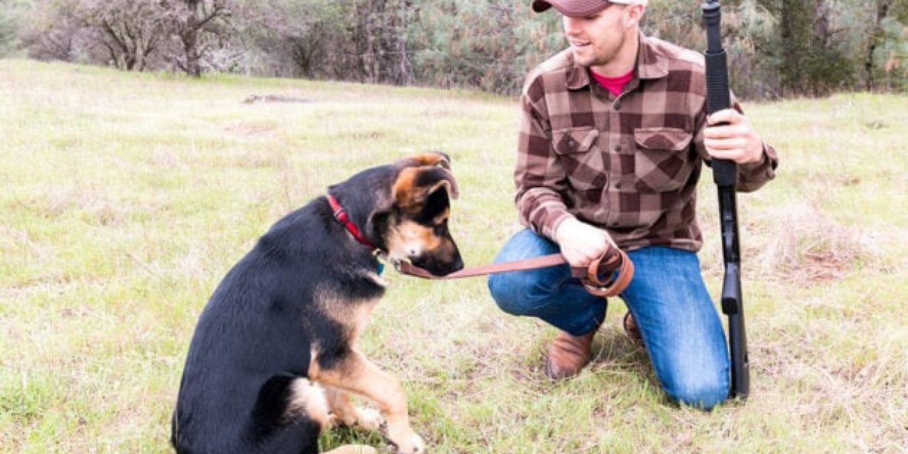 5 Best Buys for the Canine-Owning Outdoorsman