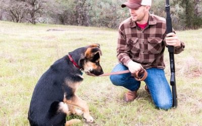 5 Best Buys for the Canine-Owning Outdoorsman
