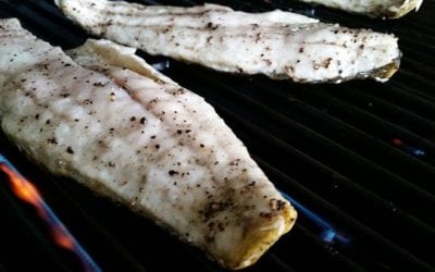 5 Mouthwatering Redfish Recipes for This Summer