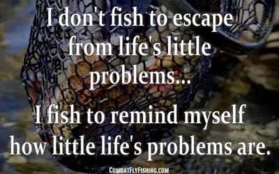 A Message from CFO KVD