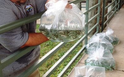 Anglers and Biologists Team to Restock Arkansas River