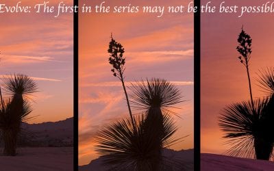 Attain Success Through Failure