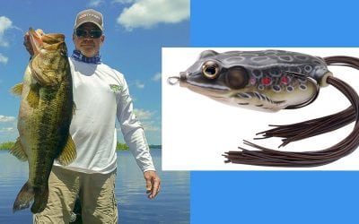 Award-Winning Frogs Drive Angler Success