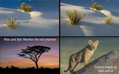 B.E.T.T.E.R. P.I.C.S.