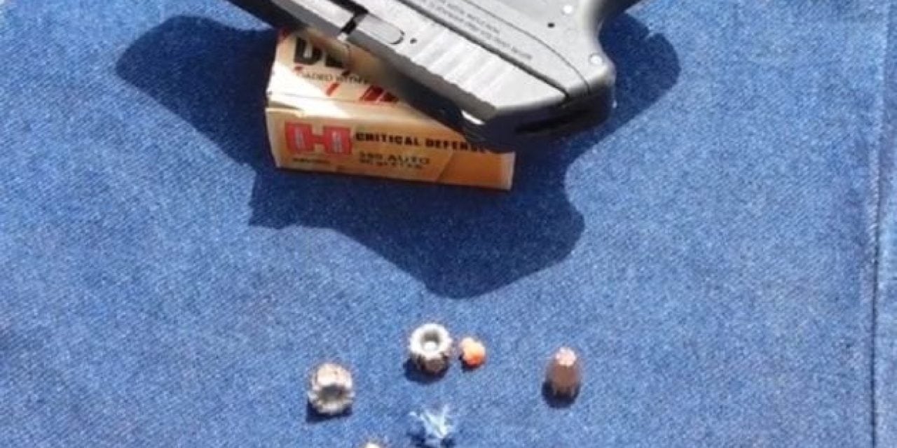 Ballistic Gel Test: Hornady Critical Defense .380 ACP Ammunition