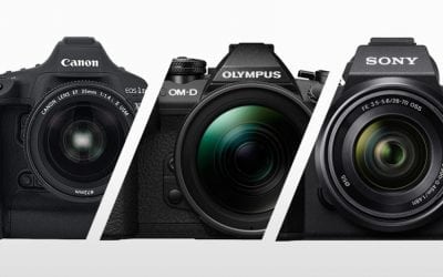 Best Cameras For Wildlife Photography