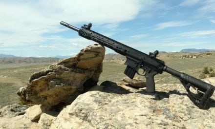 Big Horn Armory AR500 in 500 Auto Max