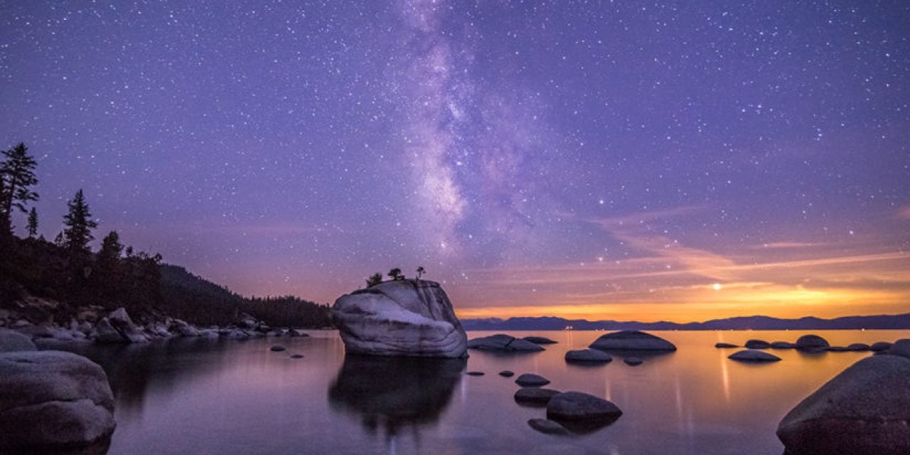 Bonsai Rock