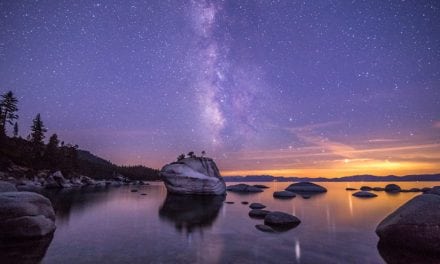 Bonsai Rock