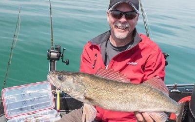 Dominating the Dog Days Bite