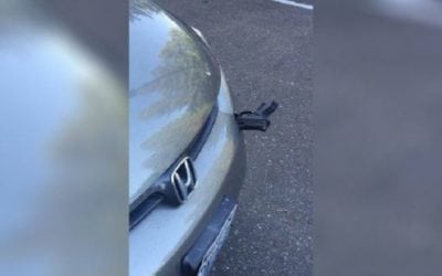 Driver Finds Pistol in His Bumper