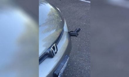 Driver Finds Pistol in His Bumper