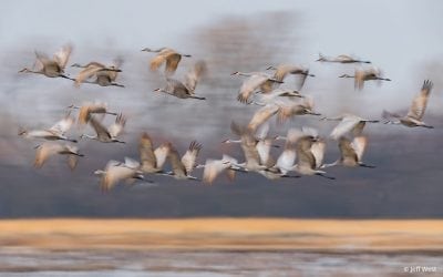 Earth Day Inspiration Assignment Winner Jeff West