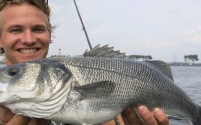 EFTTA backs court action against EU over bass