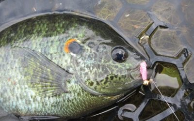 Guillermo Goes Fishing!