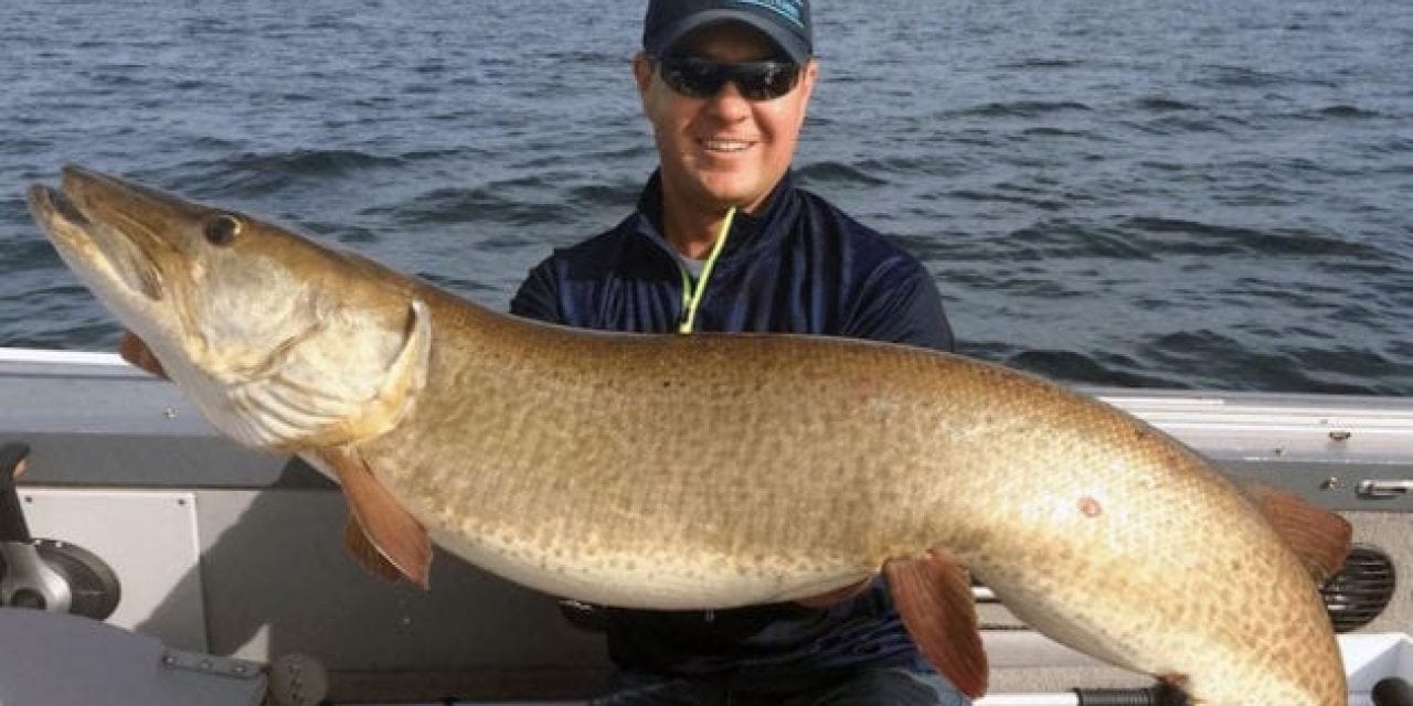 Here’s Why Muskie Fishing in New York is So Good