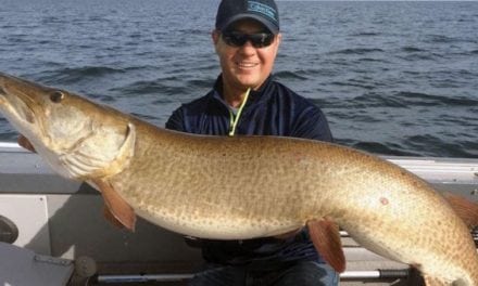 Here’s Why Muskie Fishing in New York is So Good