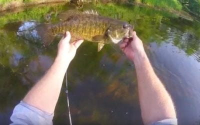 How to Fish Public Streams for Bronzebacks With Ultra-Light Gear
