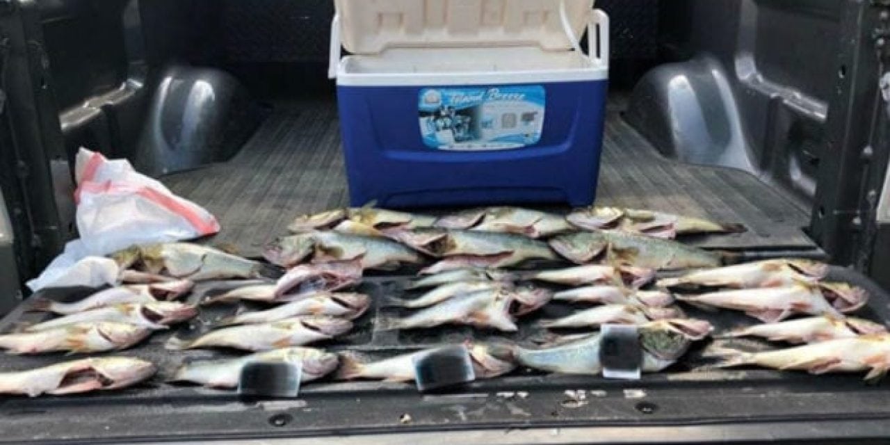 Illinois DNR Officer Busts Bass Poachers on Coffeen Lake