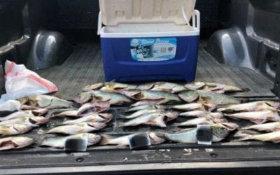 Illinois DNR Officer Busts Bass Poachers on Coffeen Lake