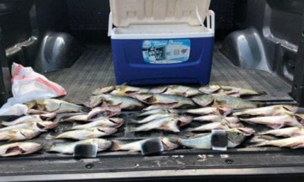 Illinois DNR Officer Busts Bass Poachers on Coffeen Lake