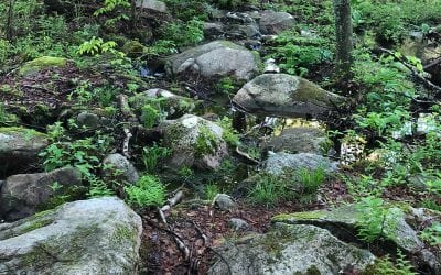 Mountain Biking in Hillsdale, RI : The Coolest Best-Kept Secret in Town