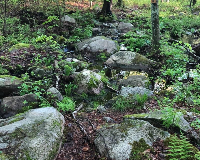 Mountain Biking in Hillsdale, RI : The Coolest Best-Kept Secret in Town