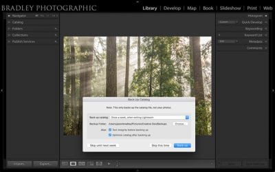 Keeping Your Photos Safe, Part 3: Protecting The Big Little Things