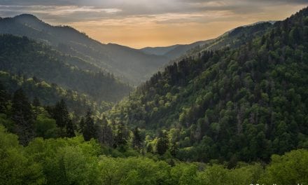 Morton Overlook