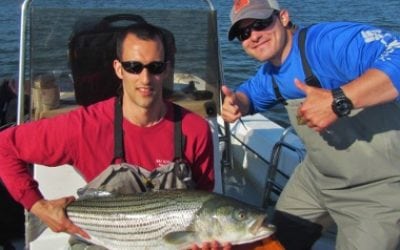 New York: Hudson River Striper Program