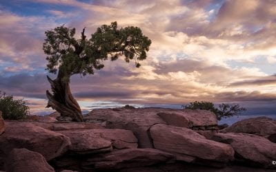 Photo Of The Day By Alex Speijer