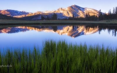 Photo Of The Day By Anthony Michael Bonafede