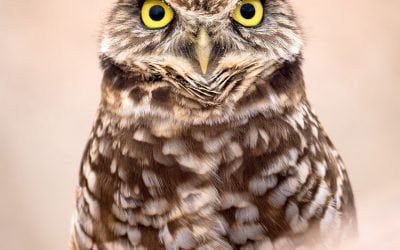 Photo Of The Day By Archie Tucker