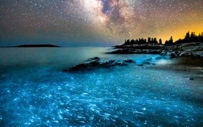 Photo Of The Day By Benjamin Williamson