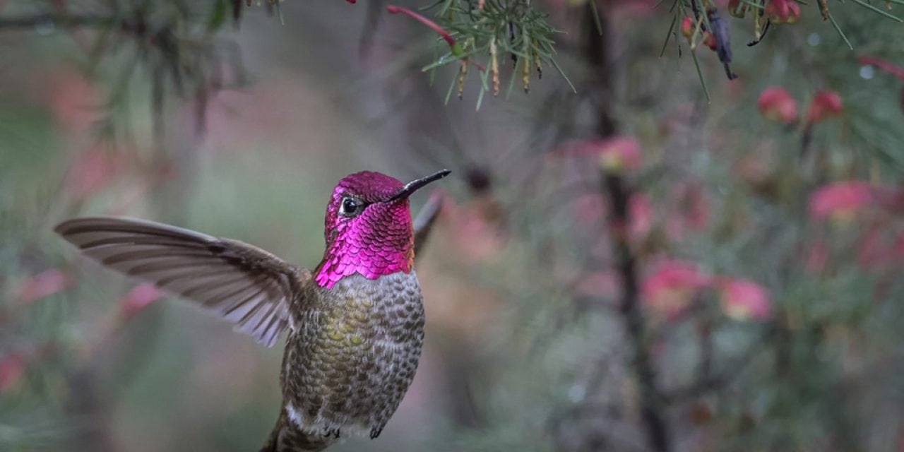 Photo Of The Day By Brad Lewis