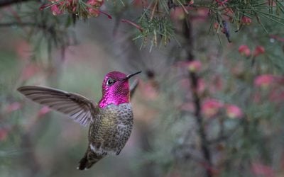 Photo Of The Day By Brad Lewis