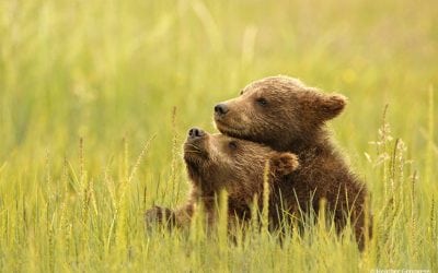 Photo Of The Day By Heather Genovese