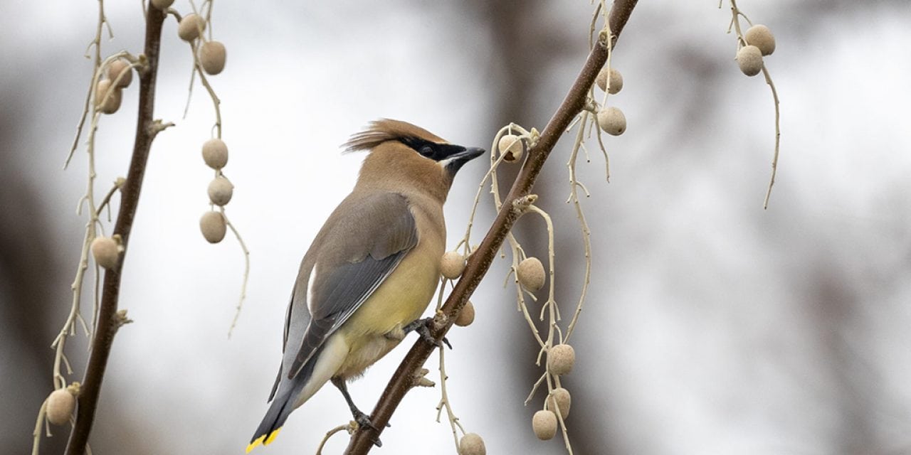 Photo Of The Day By Kathy Lichtendahl