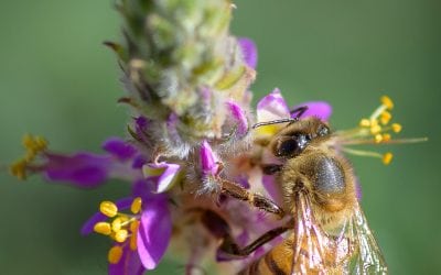 Photo Of The Day By Louis Glass