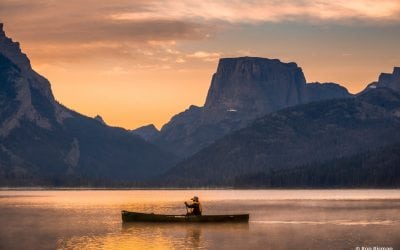 Photo Of The Day By Ron Risman | Timeographer