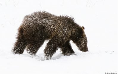 Photographic Motivation Assignment Winner Gene Putney