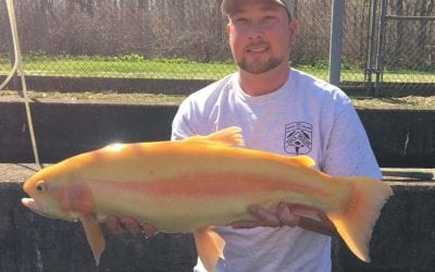 Freshwater bite is hot, pogies & people hit the beaches