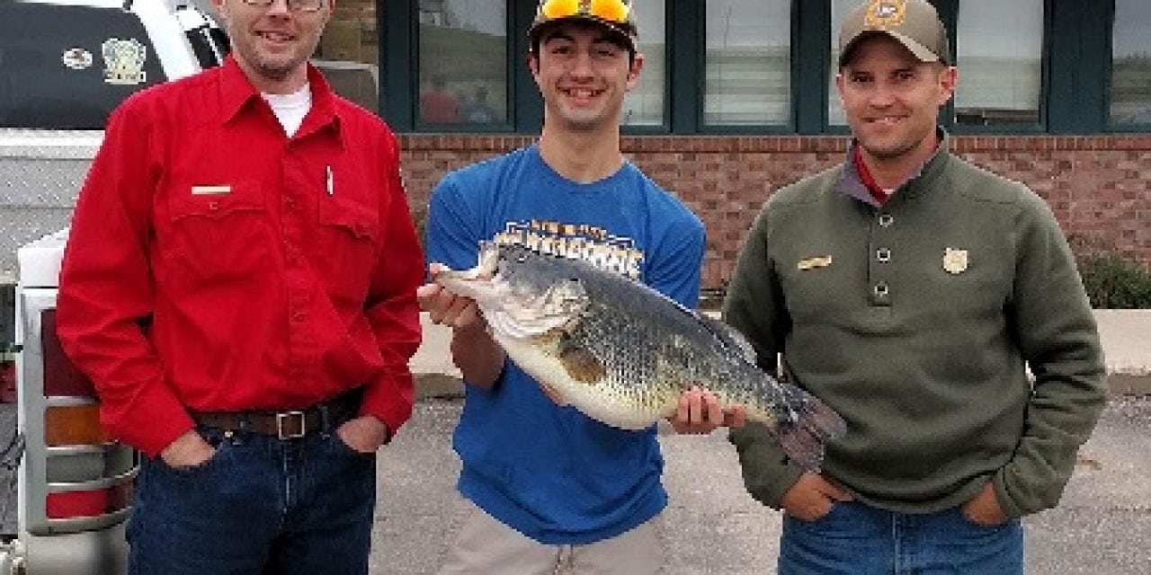 Record Wyoming 11.51-lb largemouth bass