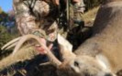 Schmidt: This is Deer Hunting’s Age of Opportunity