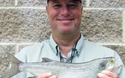 Sedalia angler hooks state-record goldeye