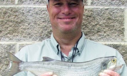 Sedalia angler hooks state-record goldeye