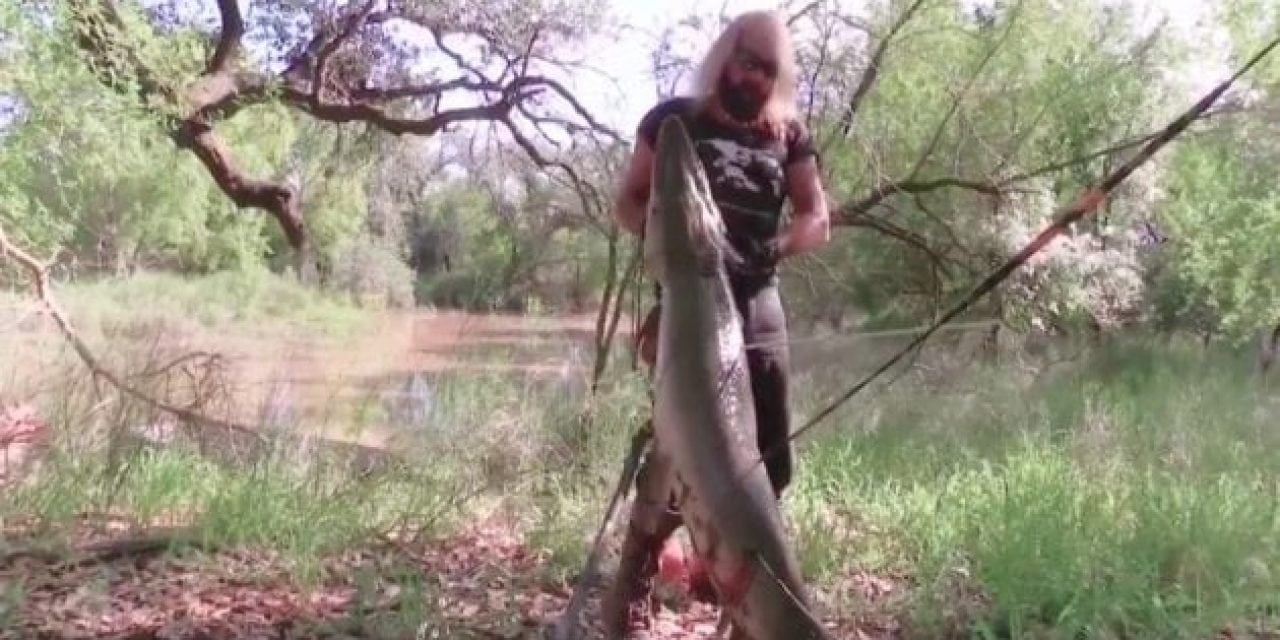 Spearfishing Alligator Gar is Primitive Fishing at Its Core