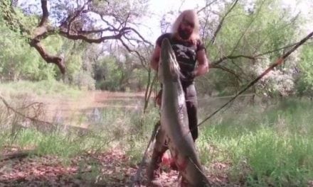 Spearfishing Alligator Gar is Primitive Fishing at Its Core