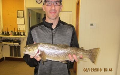 State Record Update, June 2018